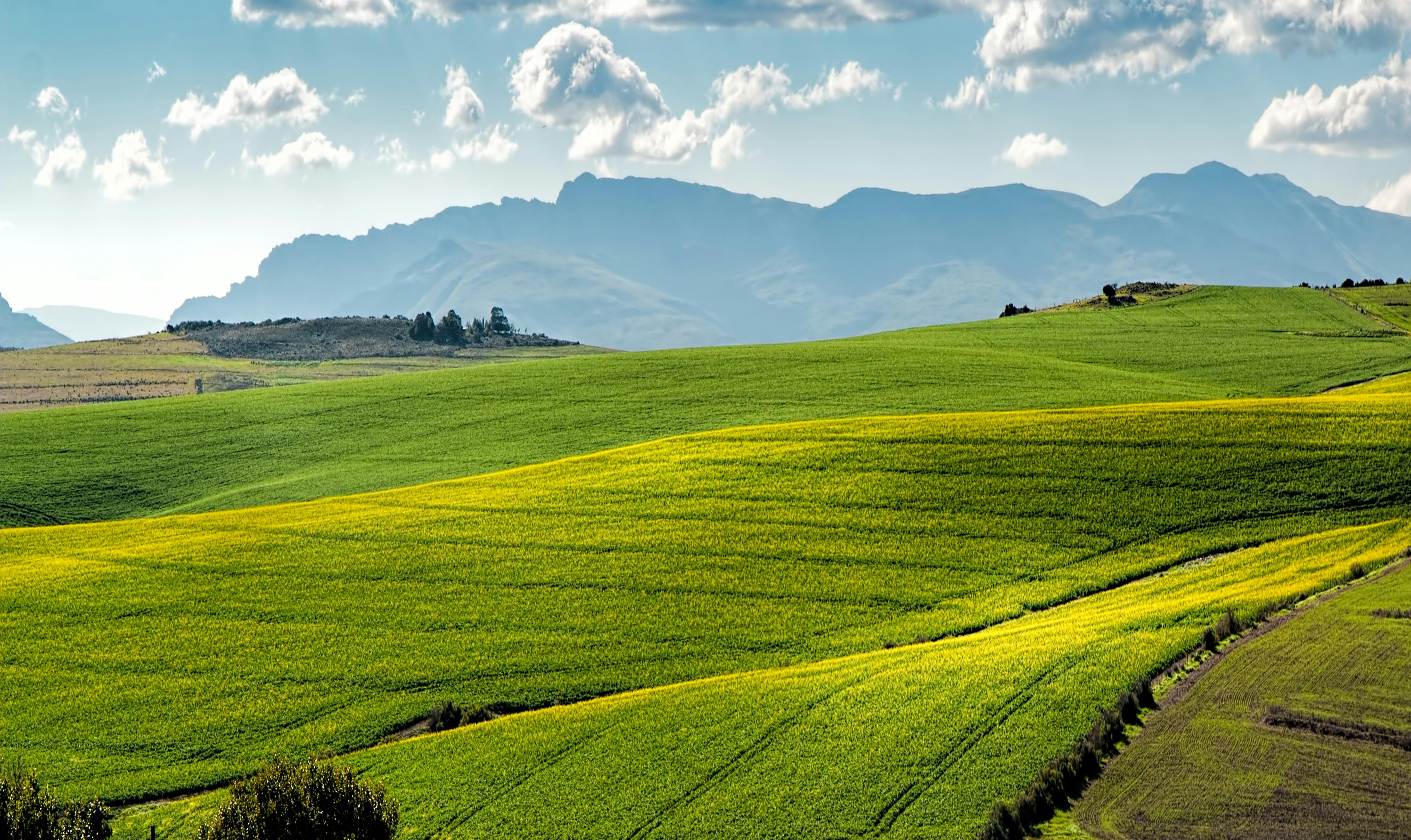 Beautiful farm landscape with green fields